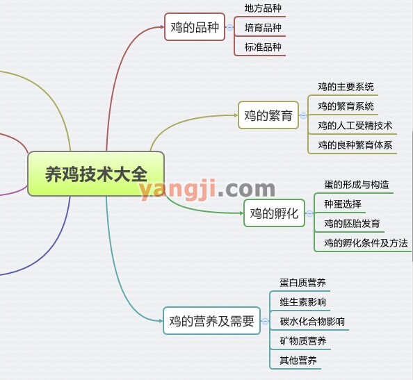 养鸡技术大全